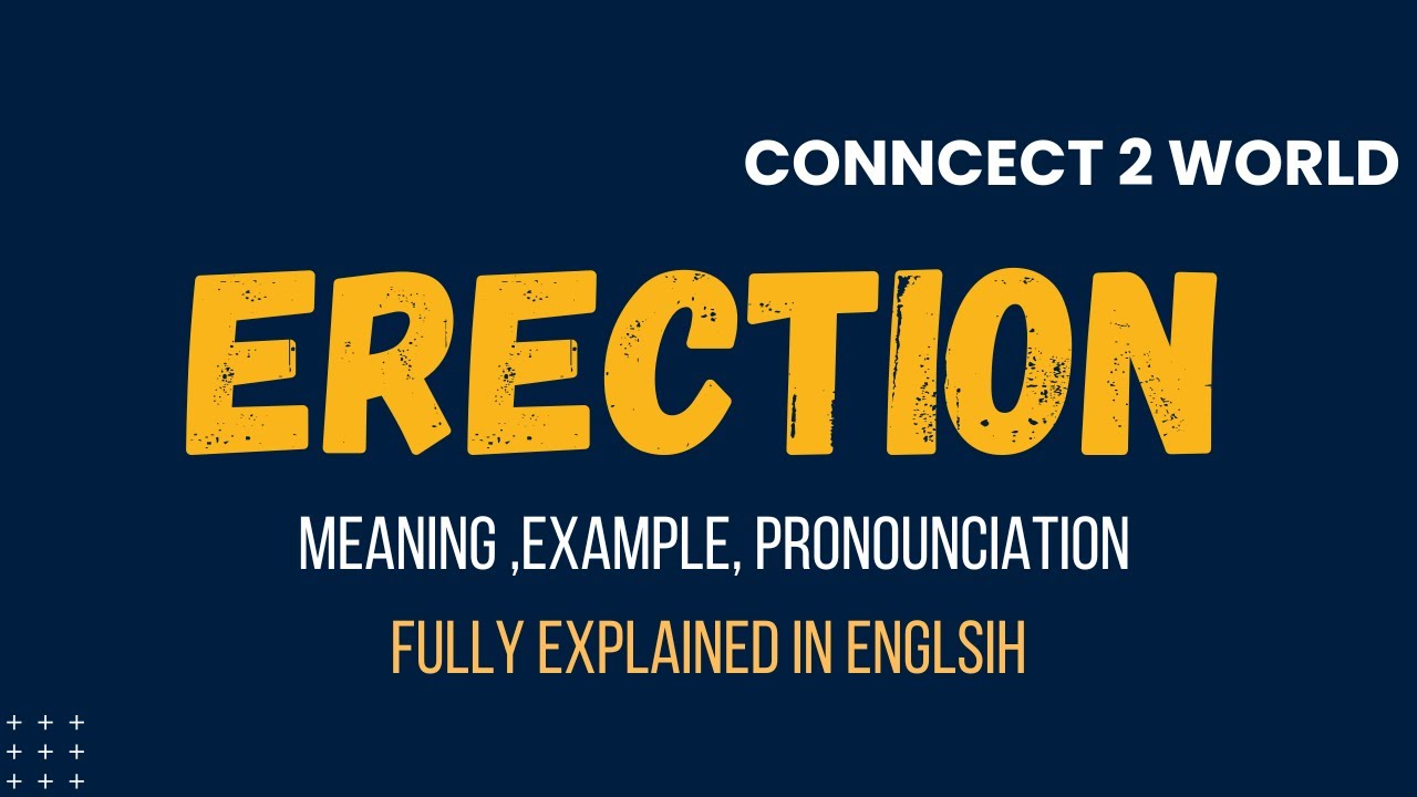 What Does erection Means || Meanings And Definitions With erection in ENGLISH