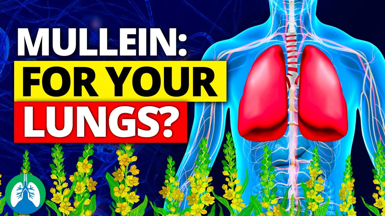 You Won't Believe How Easy LUNG CLEANSE Can Be with Mullein