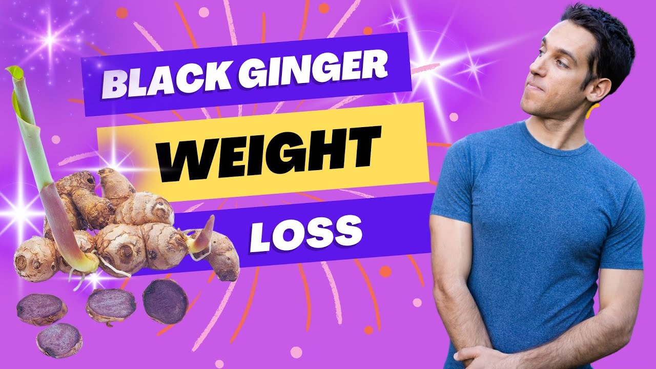 Thai Black Ginger Weight Loss Scientific Research