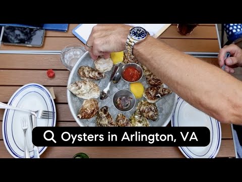 National Oyster Day at The Salt Line in Ballston! 🦪