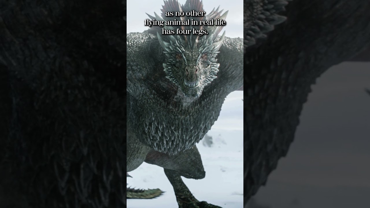 Dragons VS Wyverns