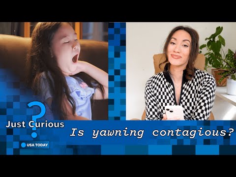 Why is yawning contagious? Your yawn reflex, explained. | JUST CURIOUS