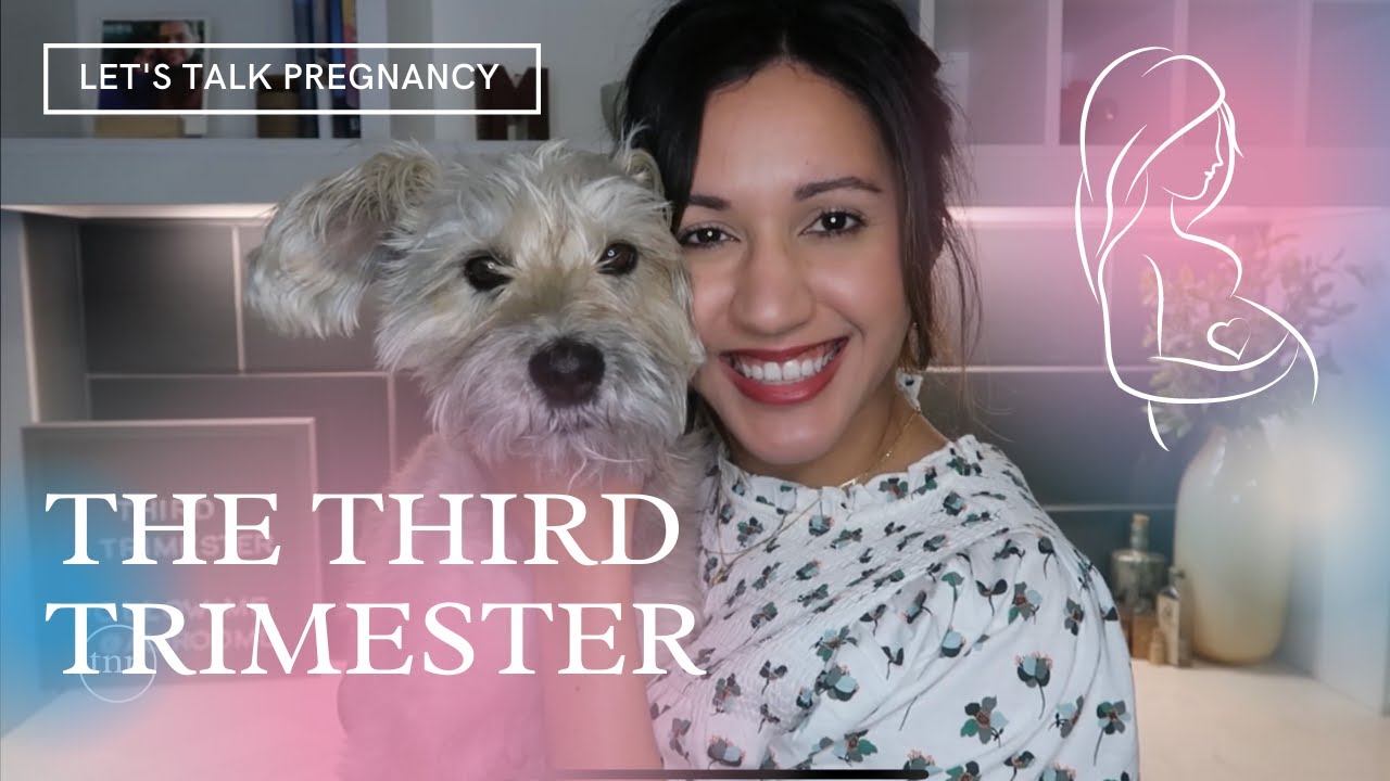 The Third Trimester | Explained by an OBGYN