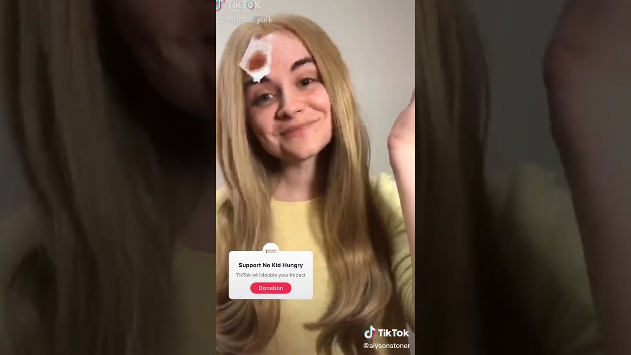 Cheaper by The Dozen TikTok Reunion Video - Original tik tok