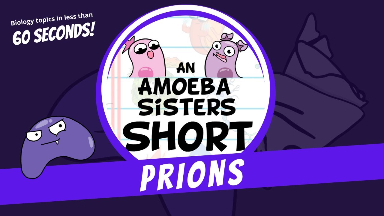 Prions - Amoeba Sisters #Shorts