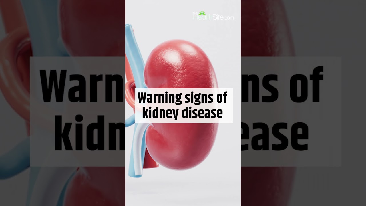 Kidney Disease: 10 Signs and Symptoms You Should Know