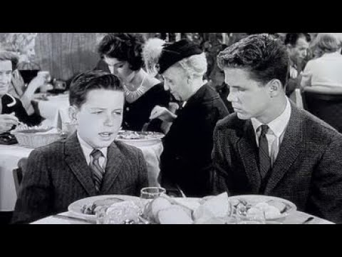 LEAVE IT TO BEAVER Season 4 (Part 1) Review (1960-1961) Schlockmeisters TV #22