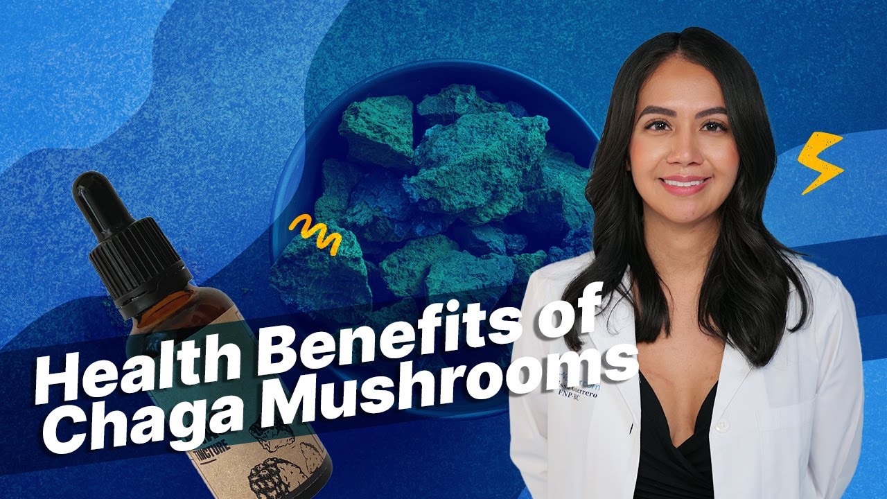 OurDoctor - What Are Chaga Mushrooms? What Are The Health Benefits?