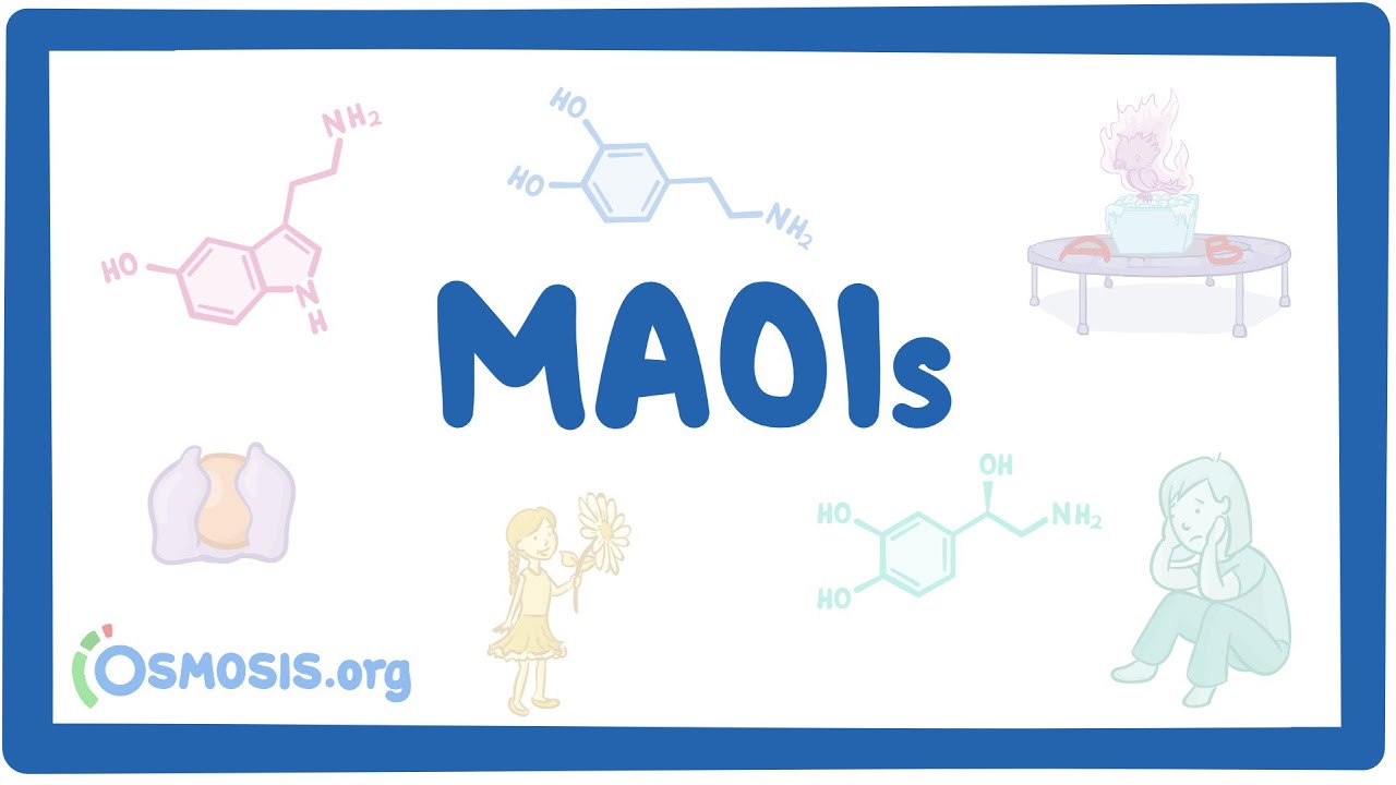 Monoamine oxidase inhibitors (MAOIs) ~pharmacology~