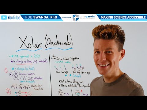 How does Xolair (Omalizumab) Work to Reduce Allergic Reactions?
