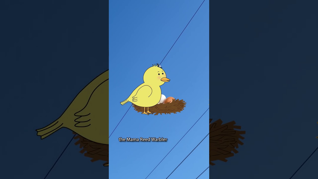 Saved a Nest #lifehacks