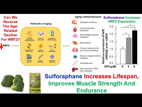 Sulforaphane Extends Lifespan, Increases Muscle Strength And Endurance