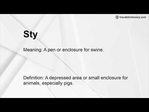 Sty Meaning