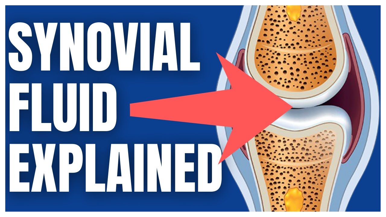 Synovial Fluid Analysis Explained (What To Know)