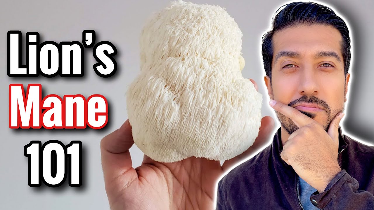 Lion's Mane Mushroom for Anxiety and Brain Function | Does Lion’s Mane Work?