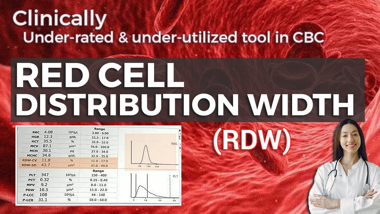 Red cell Distribution Width (RDW): What is it and what are its uses?
