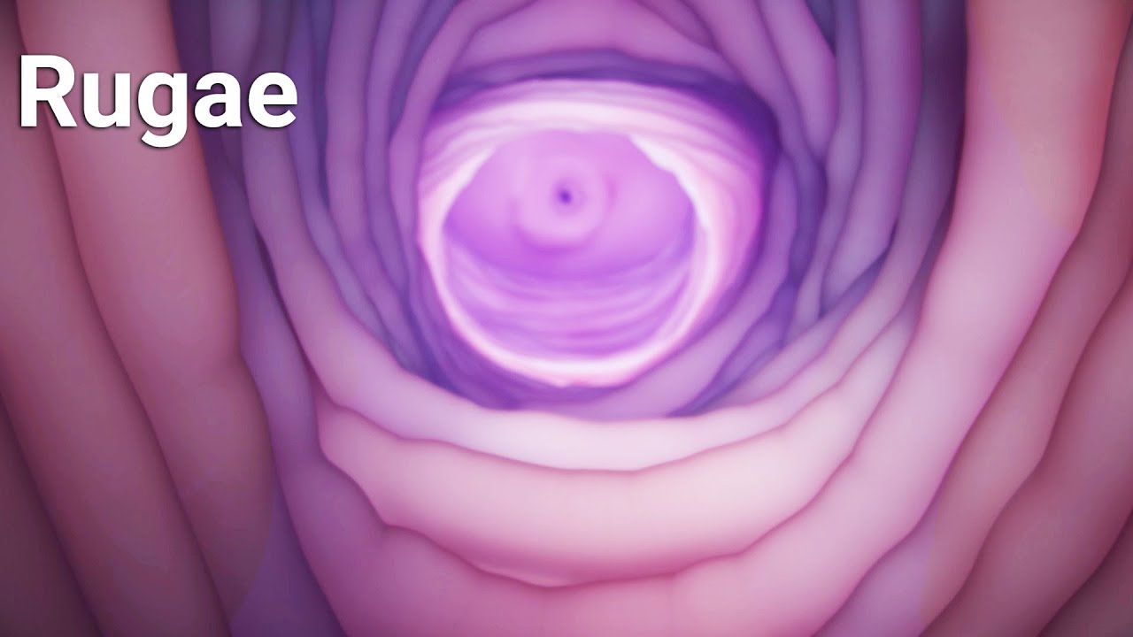 what is rugae? How aging can affect the vagina? Rectum, Bladder and gallbladder