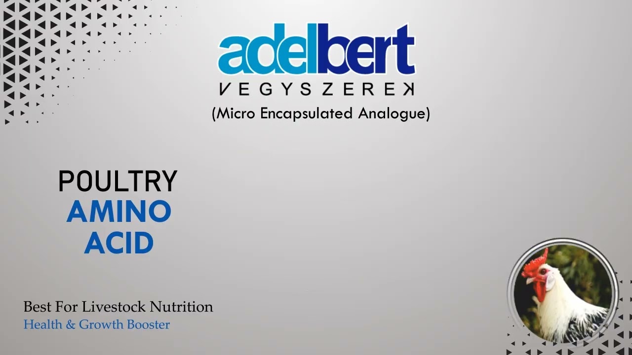L Threonine Amino Acid Poultry Feed Additive Nutrition Encapsulated #Analogue #Threonine #LThreonine