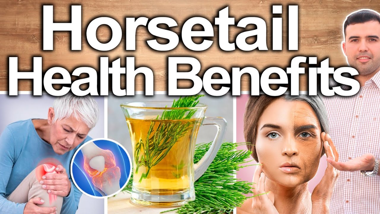 HORSETAIL EVERY DAY! - Best Ways To Take, Uses, Side Effects And Contraindications