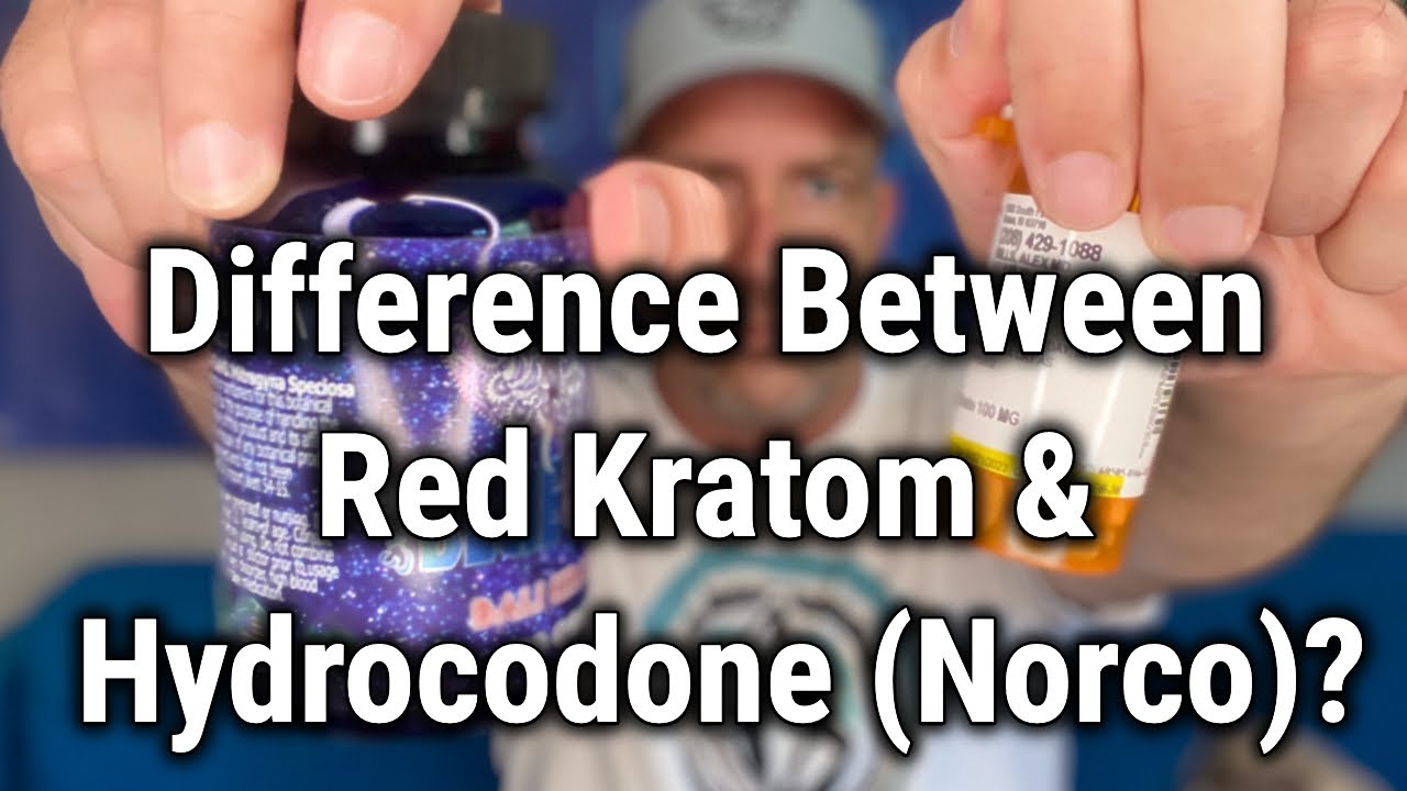 Difference Between Red Kratom Vs Hydrocodone?