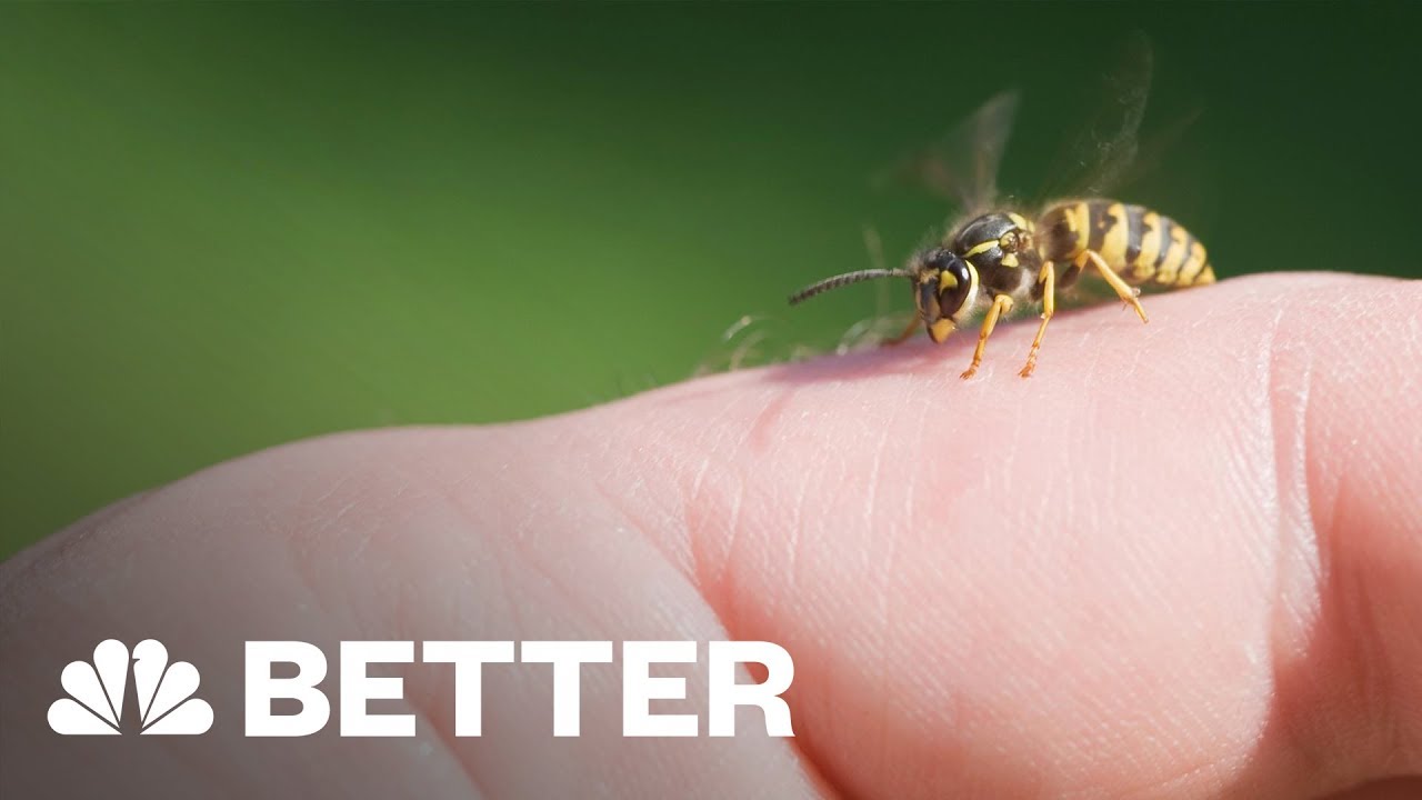 There's A Better Way To Treat A Bee Sting | Better | NBC News
