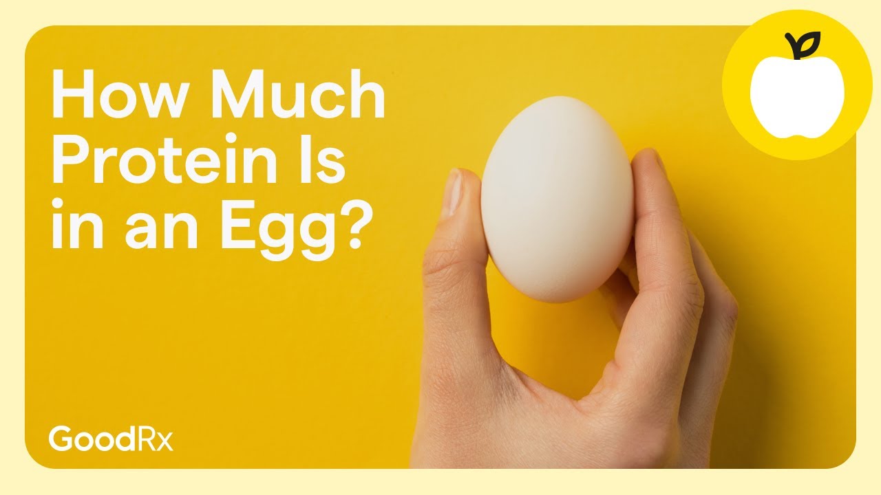 How Much Protein Is in an Egg? | GoodRx