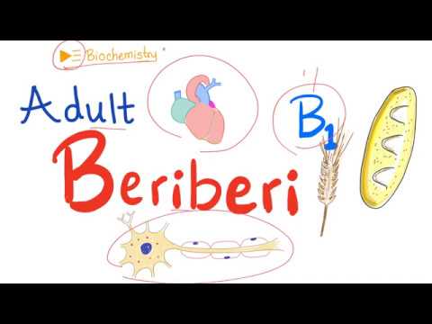 Adult Beriberi - Vitamin B1 (Thiamine) Deficiency - Diet & Nutrition - Biochemistry
