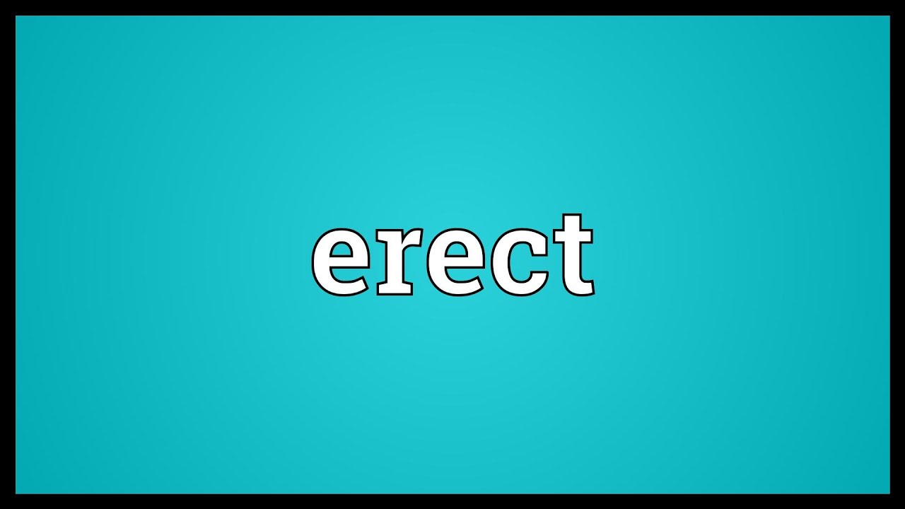Erect Meaning