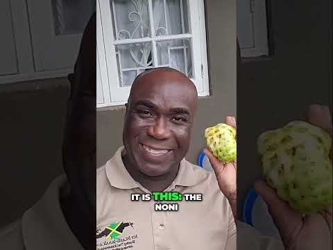 😲The Hidden Power Of Noni🍈 [FULL VIDEO in description] (#Noni) #herbal