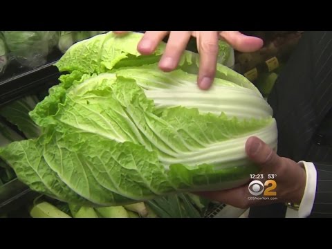 Tip Of The Day: Napa Cabbage
