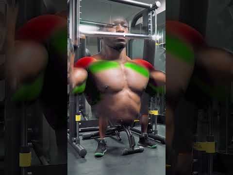 OVERHEAD PRESS (muscles worked)