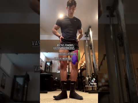 How to grow your legs with dumbbells
