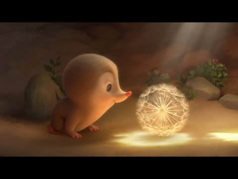 The Dandelion