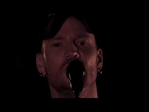 Wild Whens - Crazy to the Bone (Official Music Video)