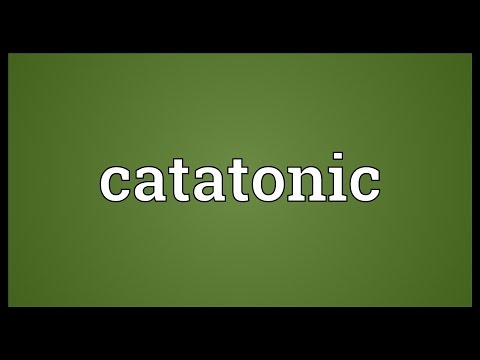 Catatonic Meaning