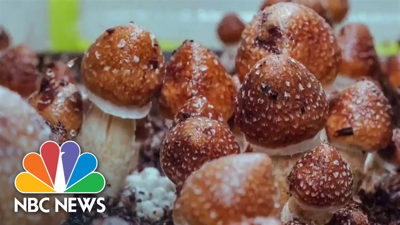 Some moms practice micro-dosing mushrooms for anxiety and depression