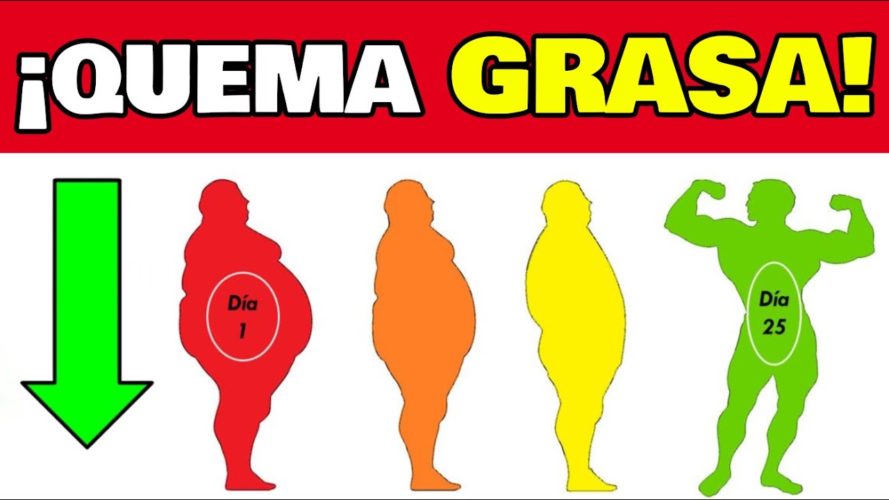 ✅ ¿CÓMO PERDER PESO? | LA MEJOR MANERA DE QUEMAR GRASA