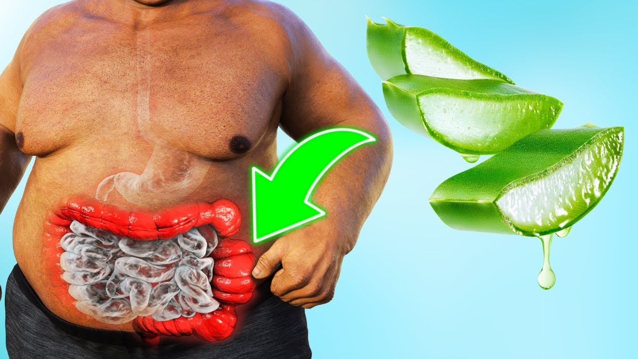 7 Amazing Health Benefits of Aloe Vera | What's Aloe Vera Good For?