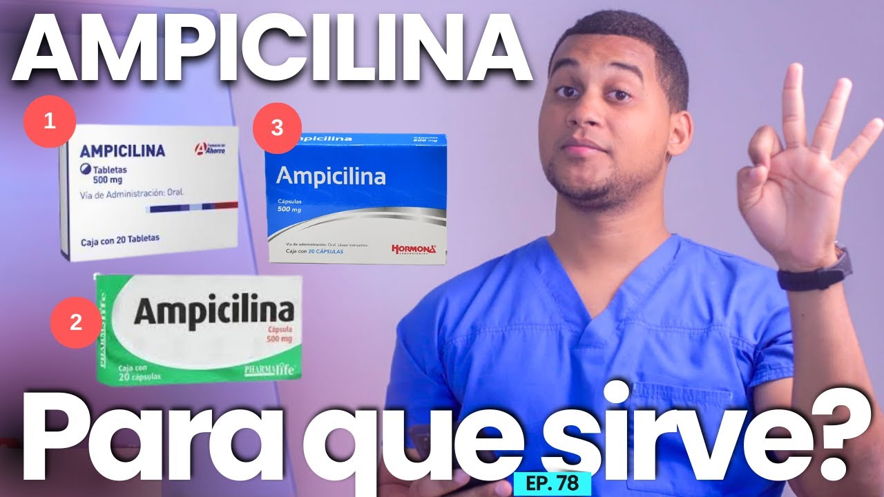 AMPICILINA PARA QUE SIRVE | 3 COSAS
