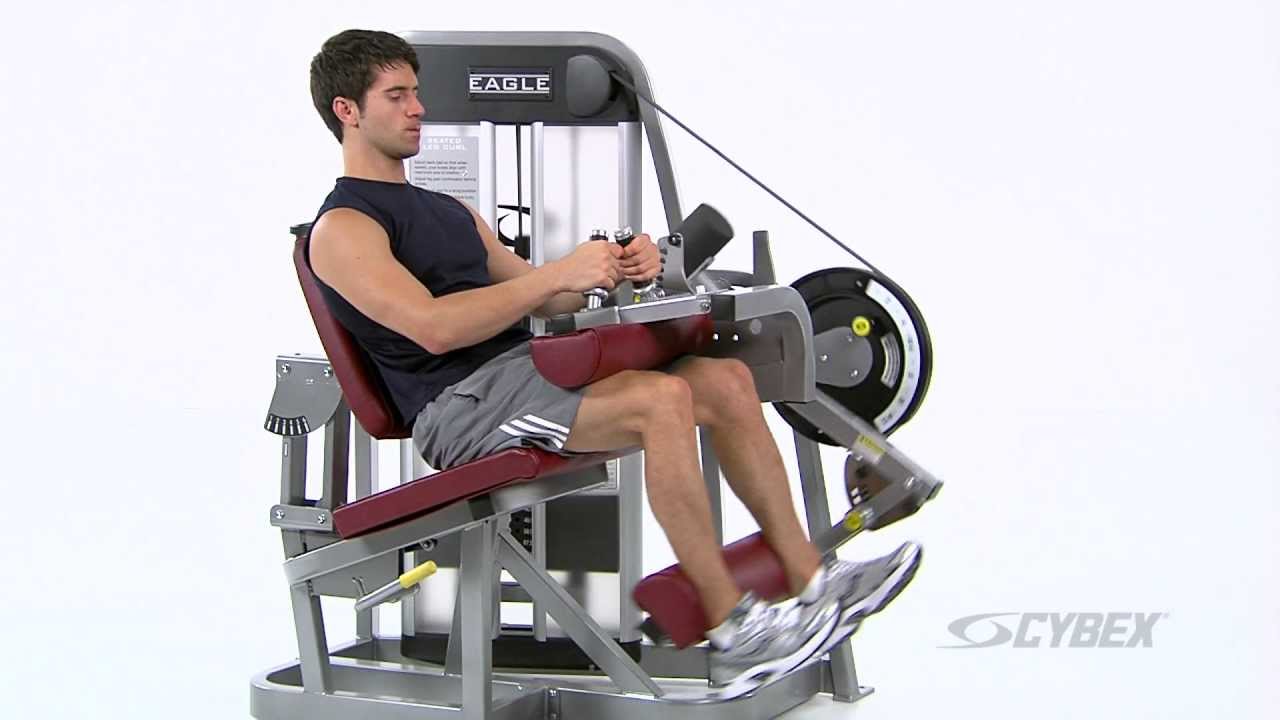 Cybex Eagle Seated Leg Curl
