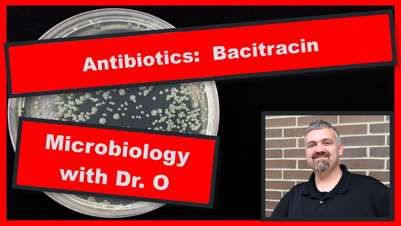 Bacitracin Antibiotic and Neosporin: Microbiology