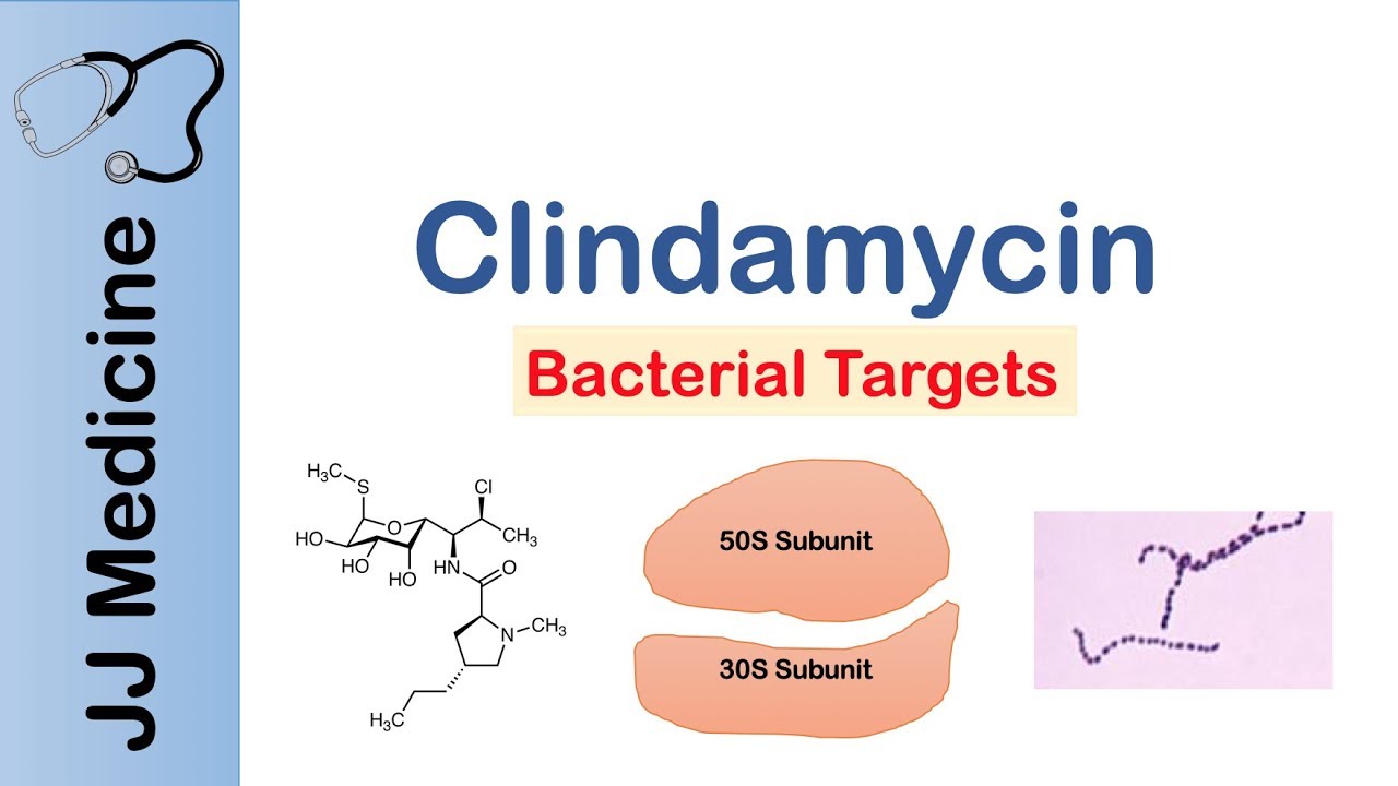 Clindamycin | Bacterial Targets, Mechanism of Action, Adverse Effects