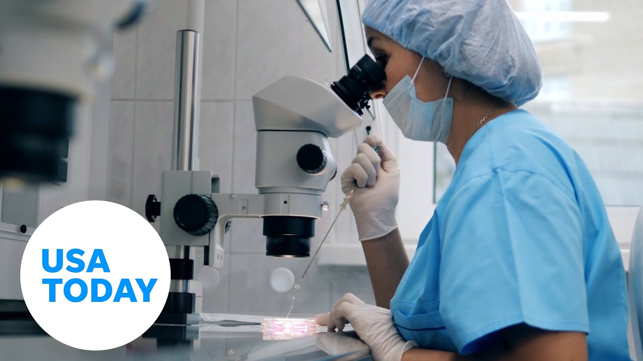 What we know now about Alabama's Supreme Court ruling on IVF | USA TODAY