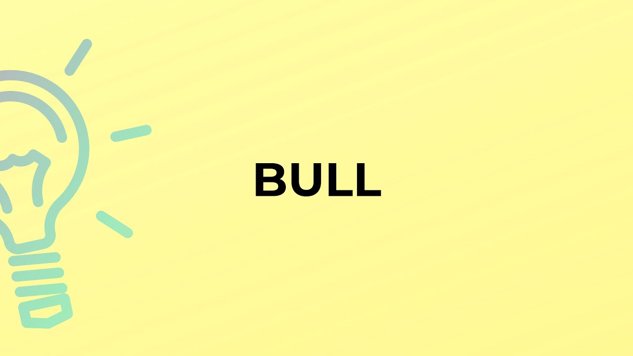What is the meaning of the word BULL?