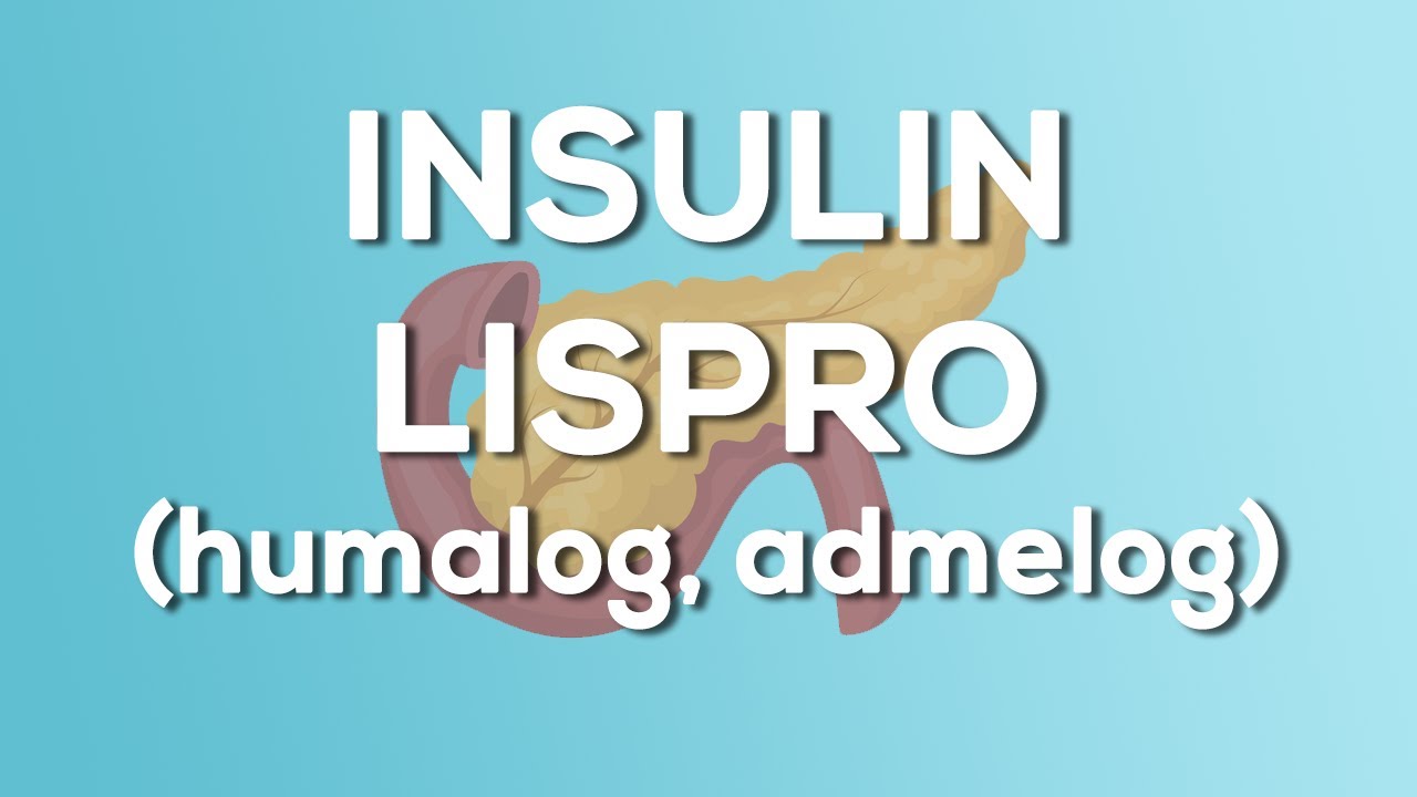 Insulin Lispro (Humalog / Admelog) Nursing Drug Card (Simplified) - Pharmacology