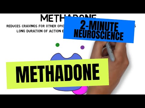 2-Minute Neuroscience: Methadone