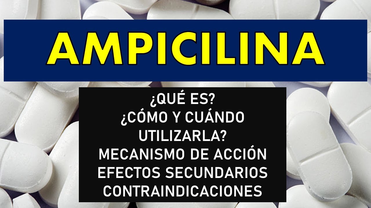 🔴 AMPICILINA | PARA QUÉ SIRVE, EFECTOS SECUNDARIOS, MECANISMO DE ACCIÓN Y CONTRAINDICACIONES