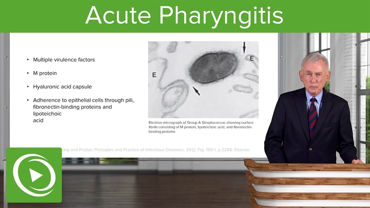Acute Pharyngitis: Definition & Epidemiology – Infectious Diseases | Lecturio