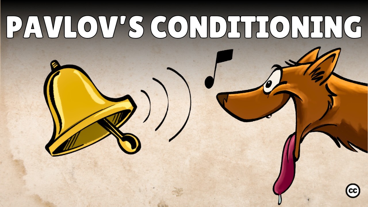 Pavlov’s Classical Conditioning