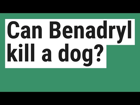 Can Benadryl kill a dog?